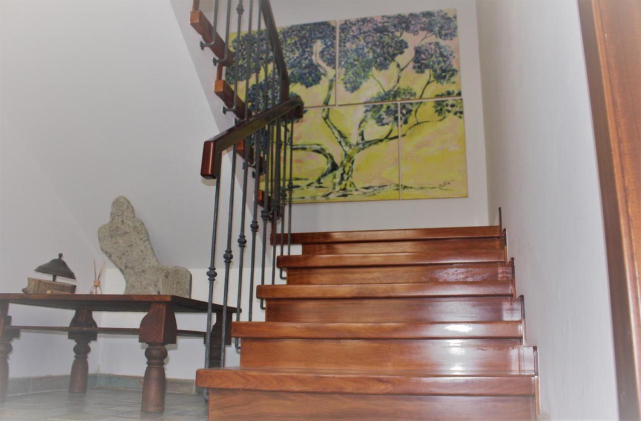 Maruru B & B Dell'Arte Civitanova Marche Zewnętrze zdjęcie